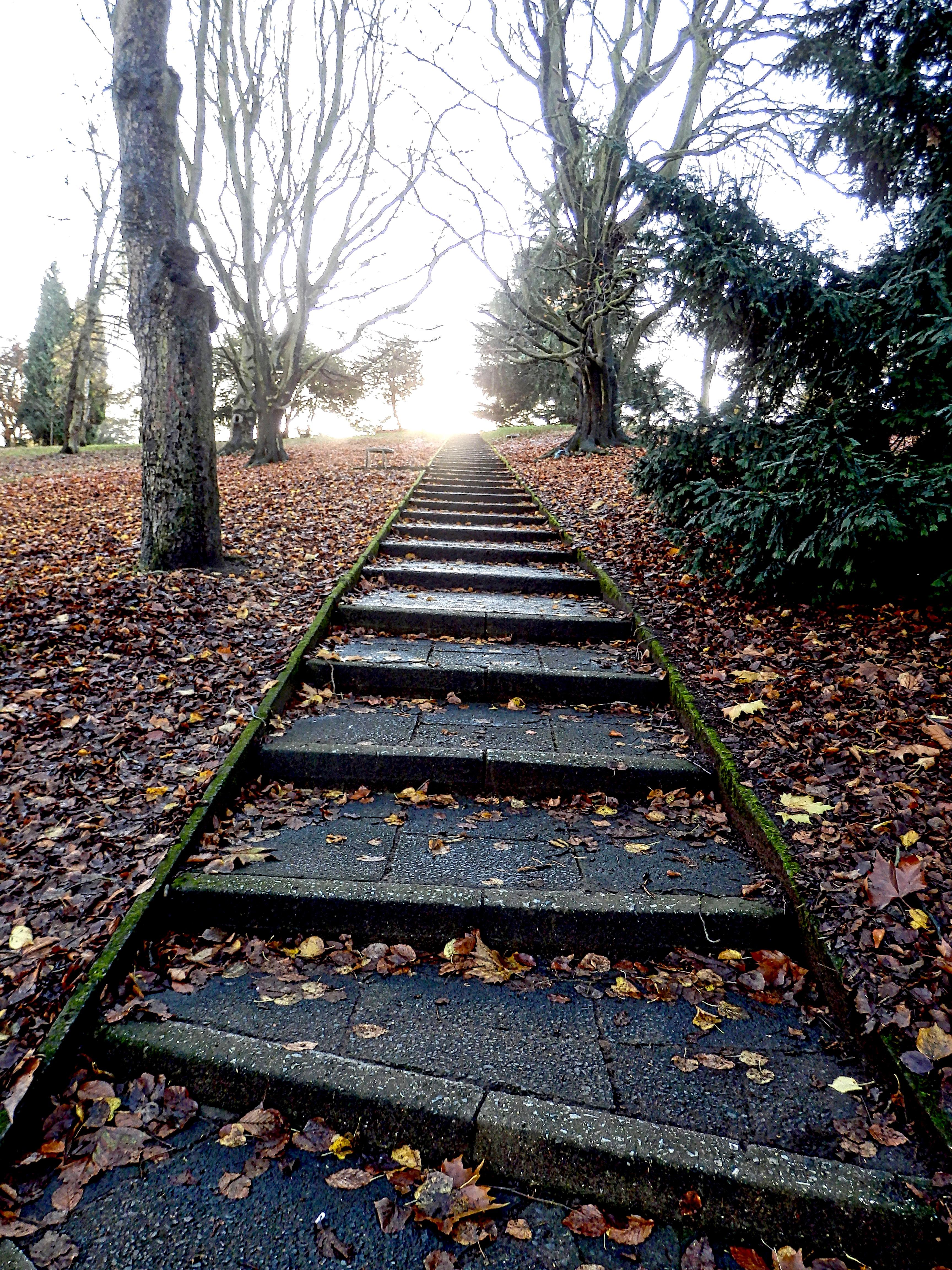 The First Steps to Begin Your Business